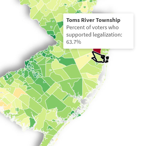 Toms River Township Cannabis Law Voting Percentage